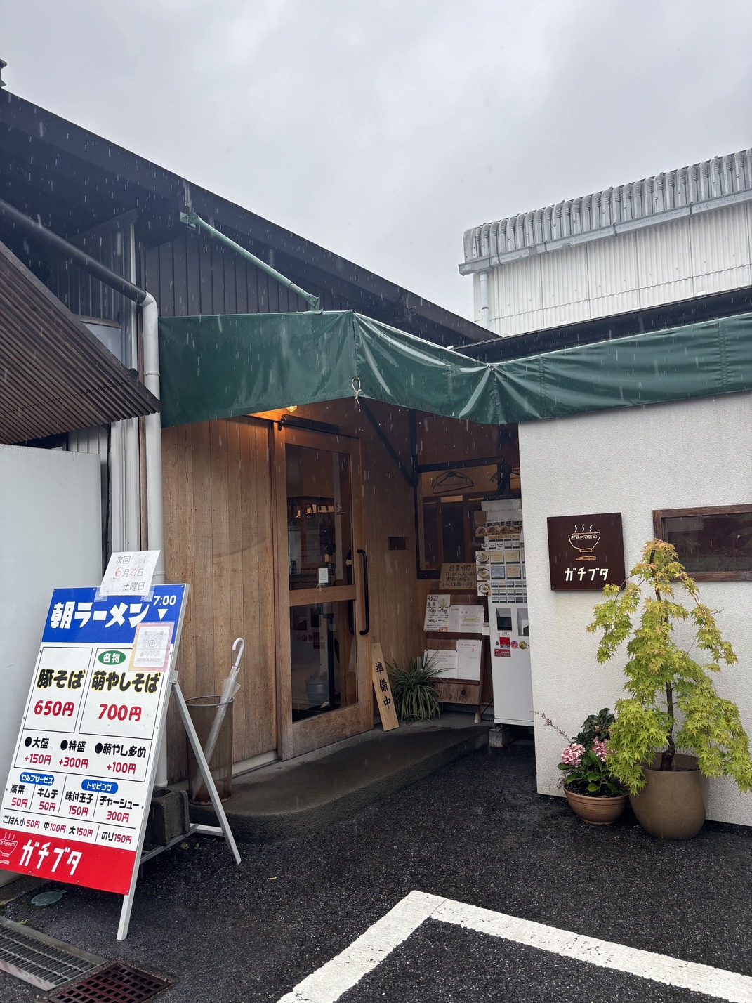 ガチブタ